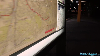 Public Agent - verlorenes Küken auf dem Bahnhof